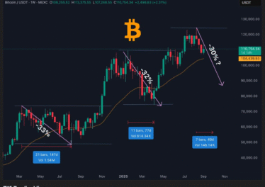 Des détenteurs de Bitcoin à long terme se débarrassent de 241 000 BTC : un Bitcoin en dessous…