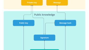 Les ordinateurs quantiques pourraient redonner vie aux Bitcoins perdus : voici comment. Les ordinateurs quantiques pourraient redonner vie aux Bitcoins perdus : voici comment.