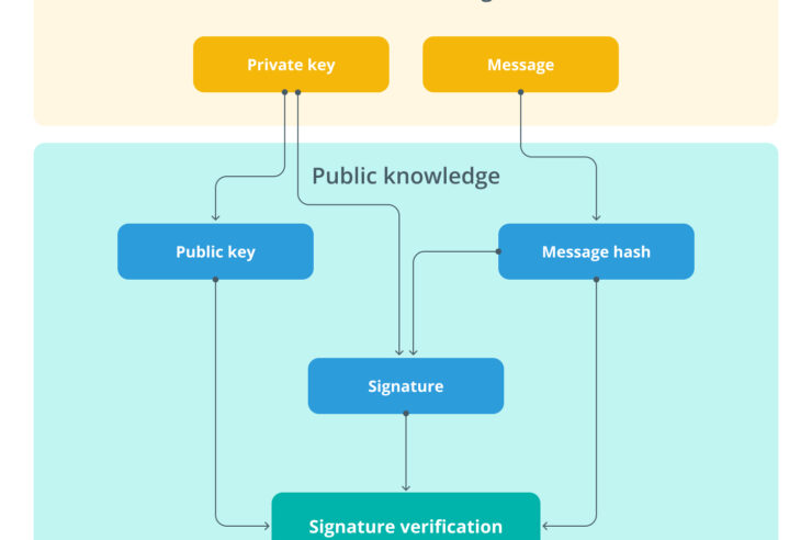 Les ordinateurs quantiques pourraient redonner vie aux Bitcoins perdus : voici comment. Les ordinateurs quantiques pourraient redonner vie aux Bitcoins perdus : voici comment.